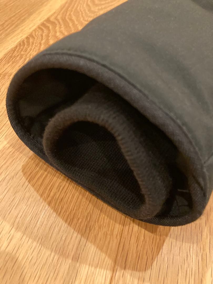 カナダグース　ミスティーク