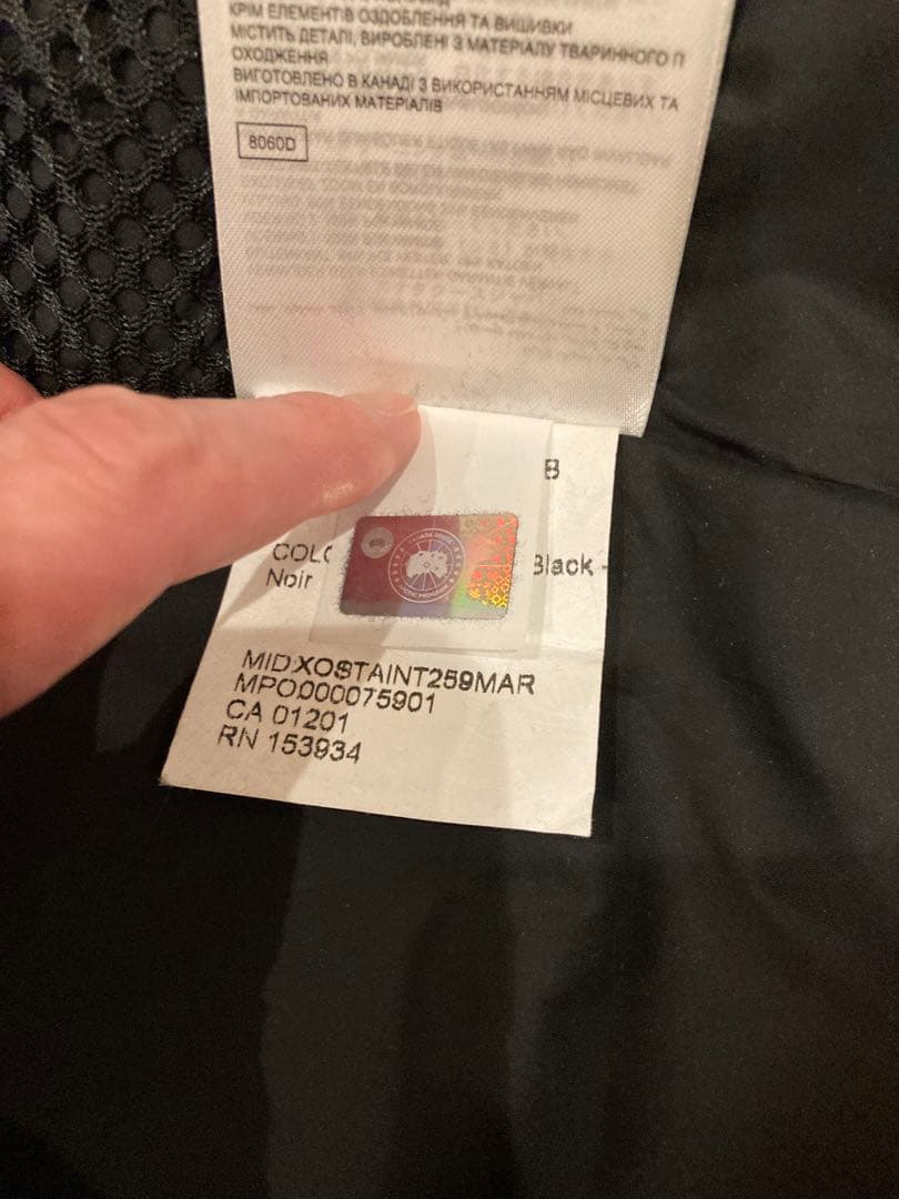 カナダグース　ミスティーク