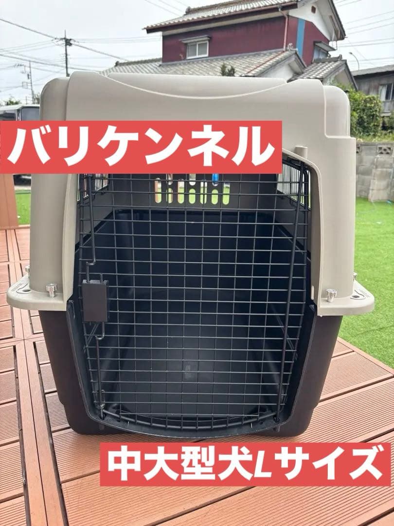 バリケンネル　L 大型犬