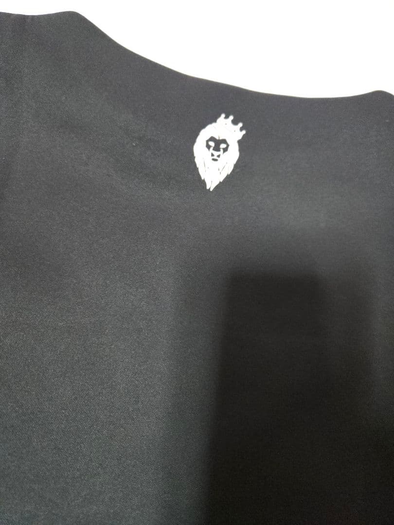 V12 CRAZYMOCK　長袖　モックネック　ゴルフウェア　VTWELVE S