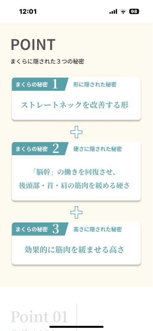 FMT整体頭痛解消まくら