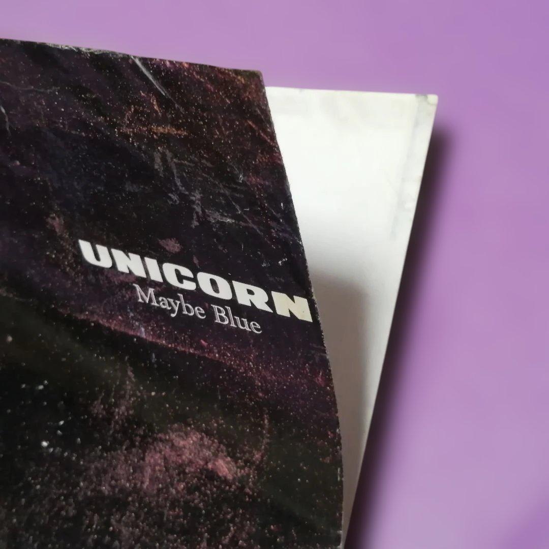 （７）ユニコーン／Ｍａｙｂｅ　Ｂｌｕｅ　プロモ盤／奥田民生