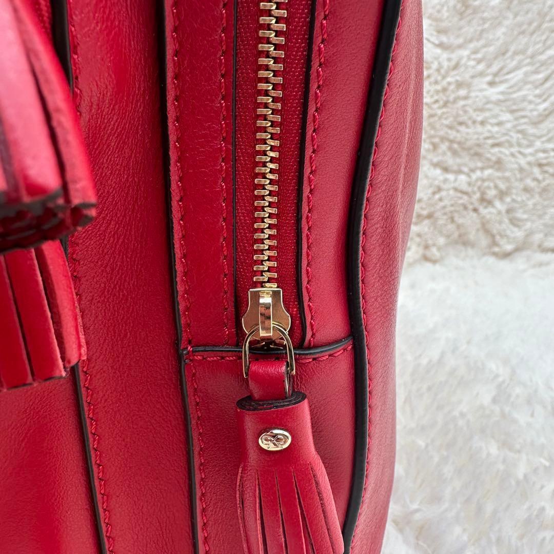 ✨極美品✨アニヤハイドマーチ　リュック　スマイリー　パンチング　カーフレザー　赤