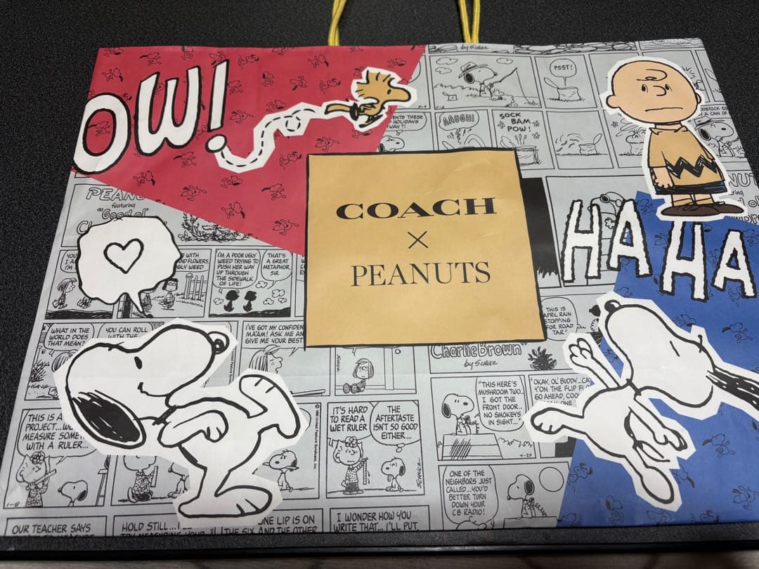 COACH チャーリーブラウン キーホルダー