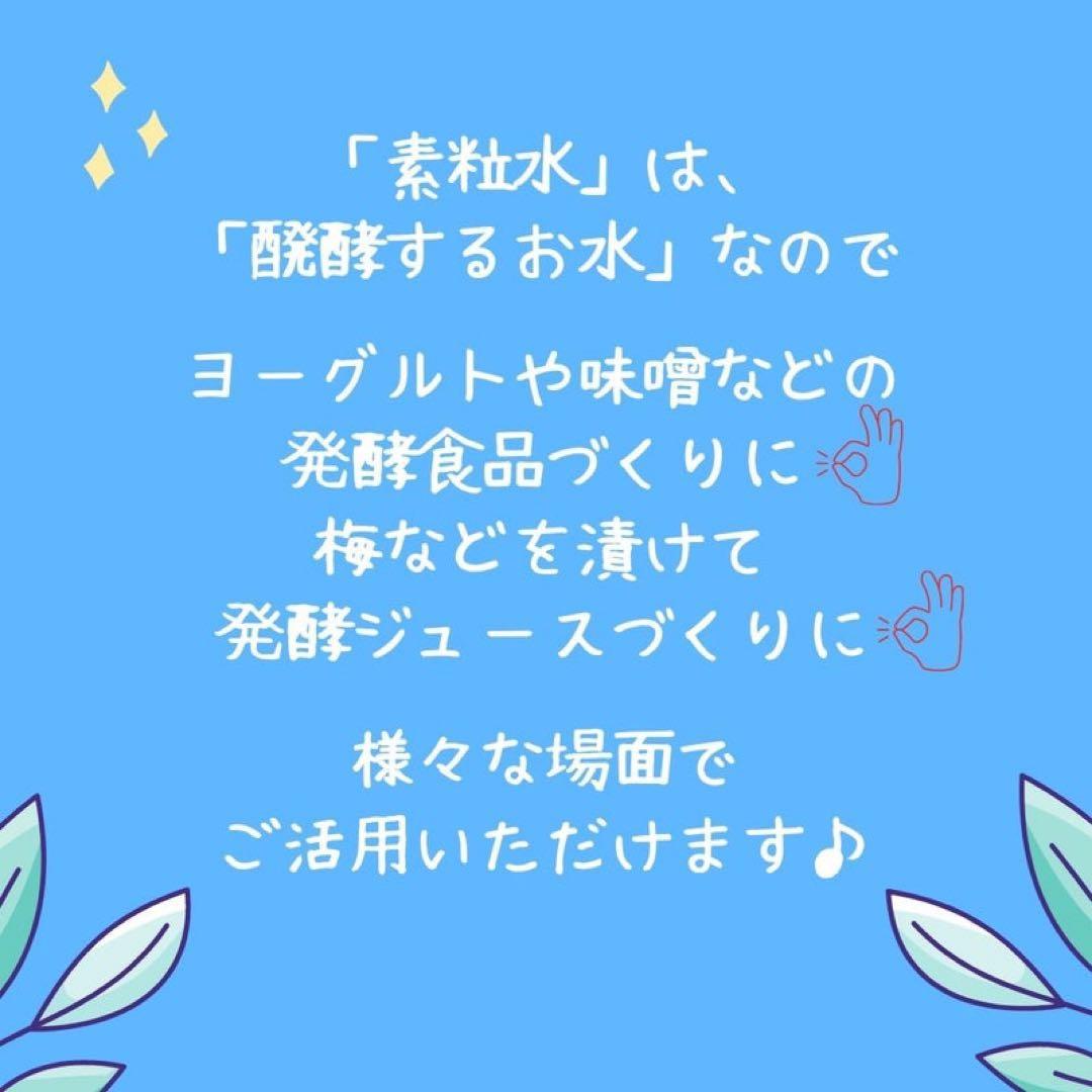 ✨フリーサイエンスカートリッジ✨キッチン用とシャワー用✨2個セット✨レターパック
