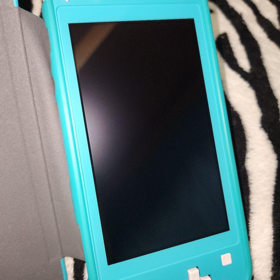 Switchライト ターコイズ カバー付き 本体のみ