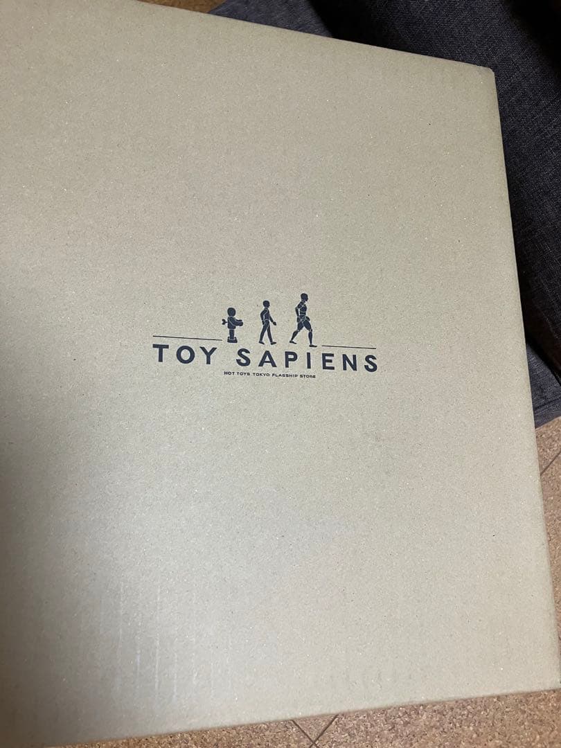 トイサピエンス　ホットトイズ　アナキンスカイウォーカー　アルチザン