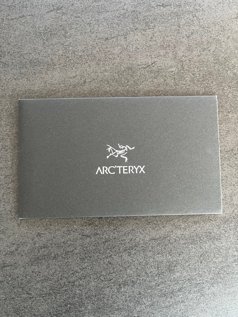 Lee ARC'TERYX アルファSV 24K BLACK 廃盤 正規品