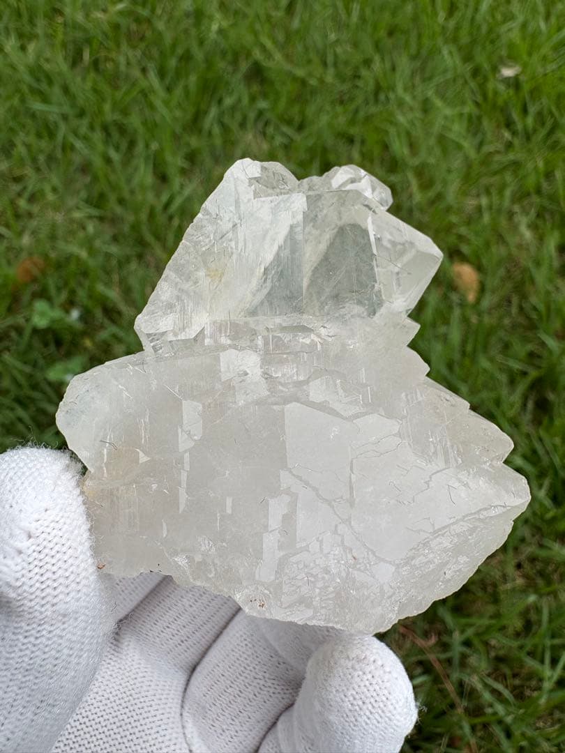 【匿名発送】パキスタン産グインデル