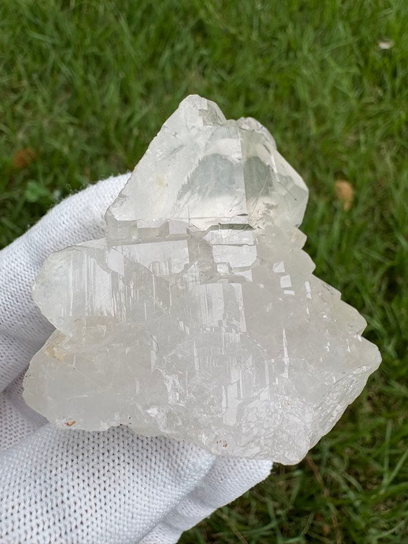 【匿名発送】パキスタン産グインデル