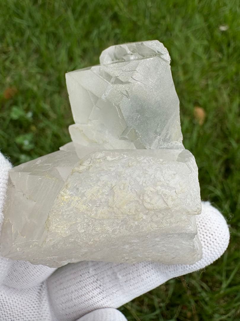 【匿名発送】パキスタン産グインデル