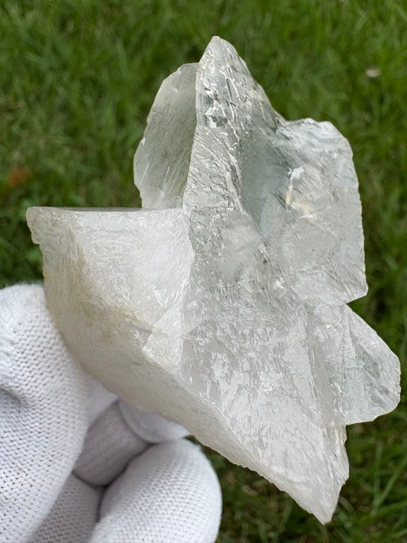 【匿名発送】パキスタン産グインデル