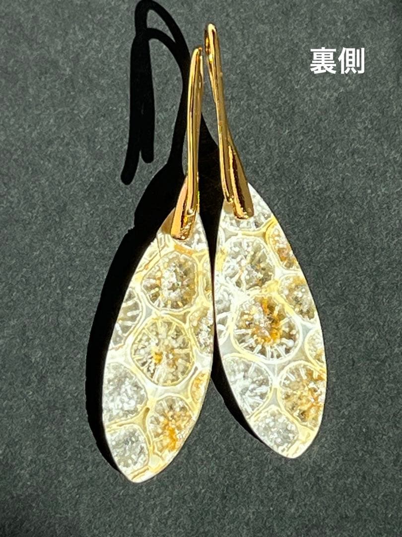 ＊＊COCO＊＊　14kgf フォッシルコーラル ピアス