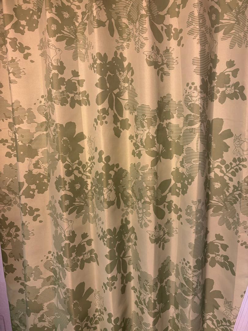 ポケモン スミノエ 遮光カーテン イーブイズ 100×178cm 2枚入り