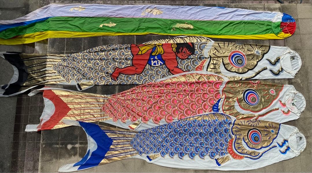 鯉のぼり　フジサワ　6M　金太郎　黄金鯉