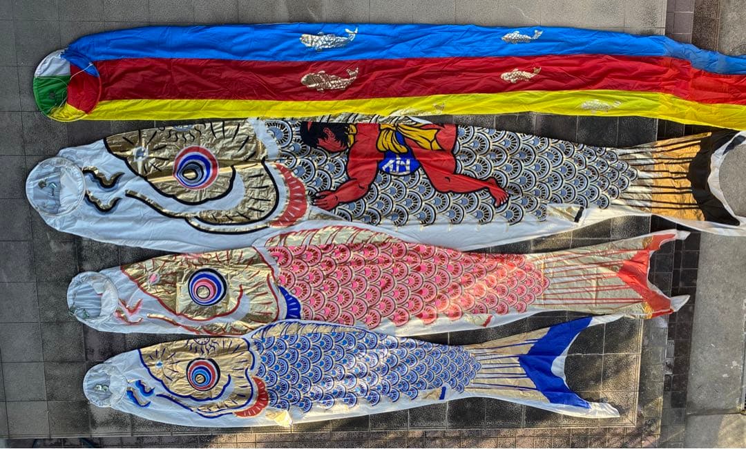 鯉のぼり　フジサワ　6M　金太郎　黄金鯉