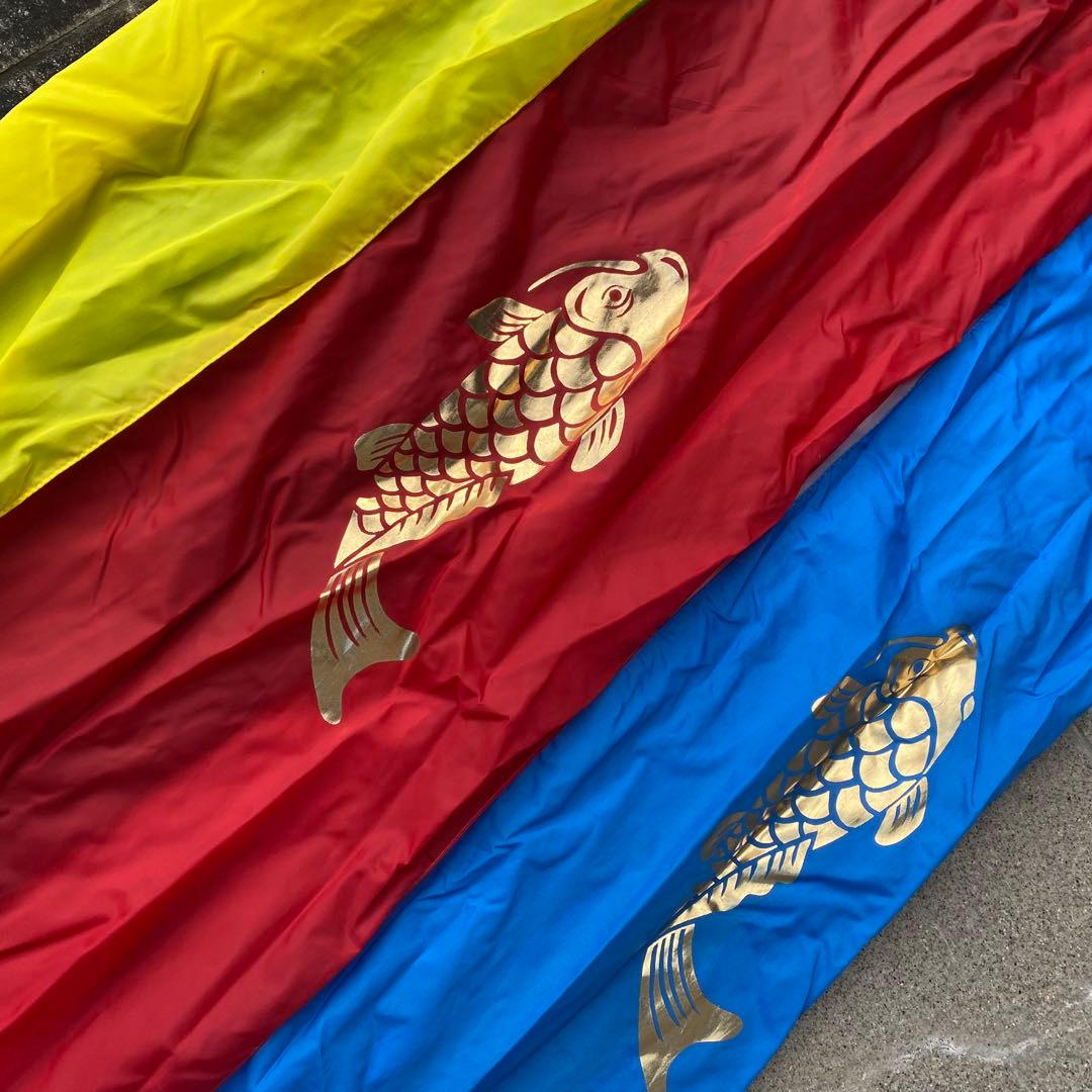 鯉のぼり　フジサワ　6M　金太郎　黄金鯉