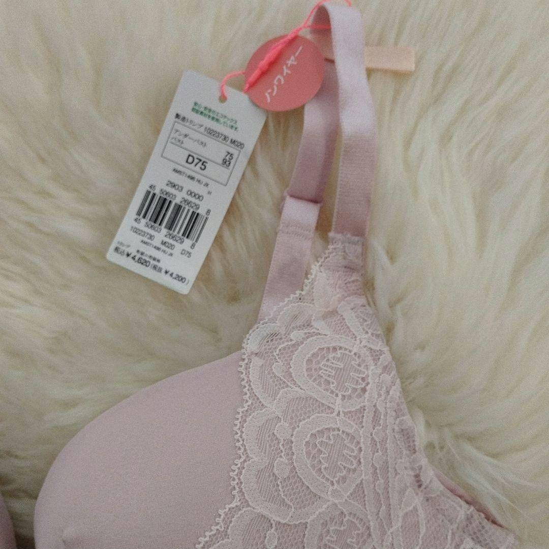 トリンプ アモスタイル 1498　003　D75 Lセット　定価7480円