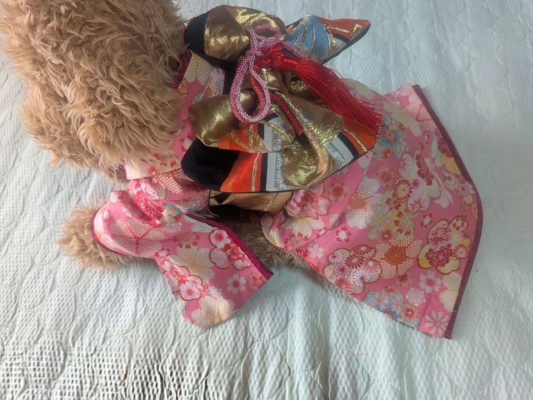 サ*コ様 ラスト★現品★Ｓピンク地にちりめん風桜柄の着物に本物黒地に金他帯の晴れ