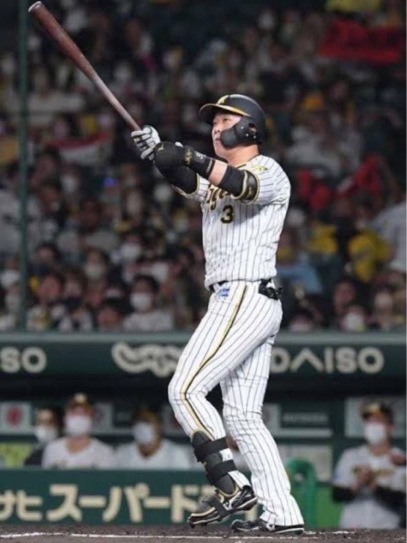 阪神タイガース　大山悠輔 2024バット NPBマーク 支給品 新品 くり抜き