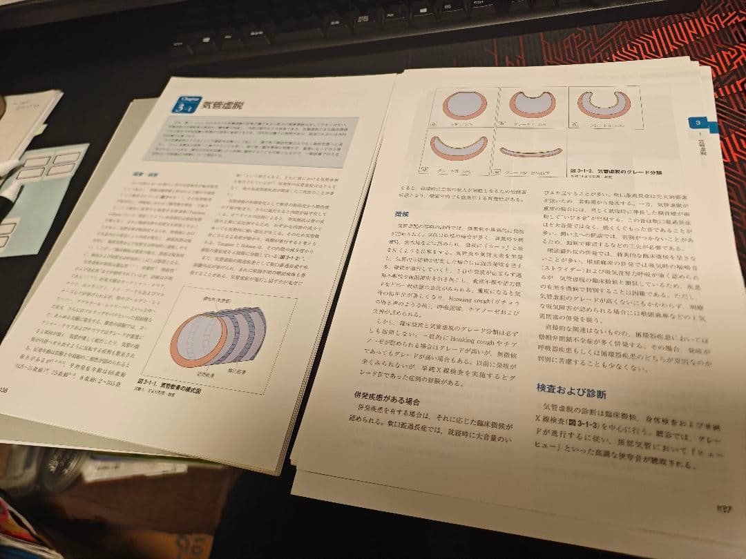 犬と猫の呼吸器診療　裁断済