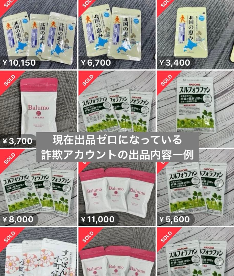 種子10袋セット　　　スルフォラファン　見分け方