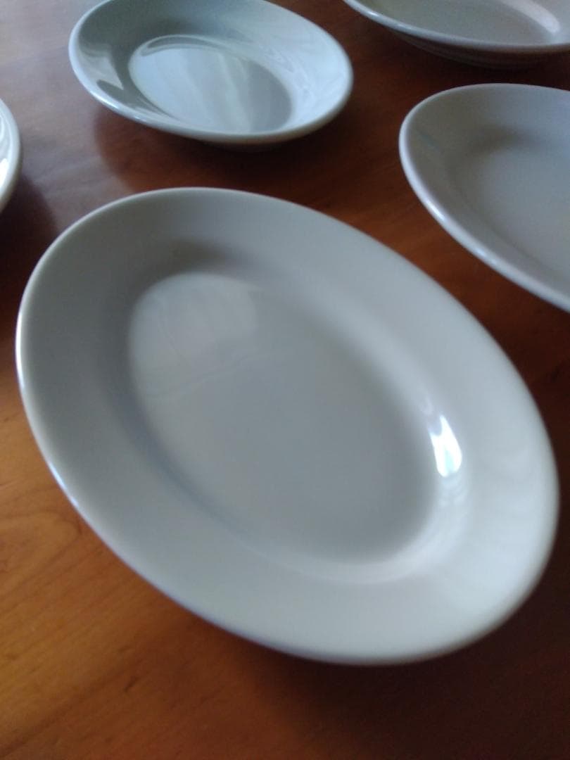 Saturnia チボリ 25cm 食器 Made in Italy 5枚