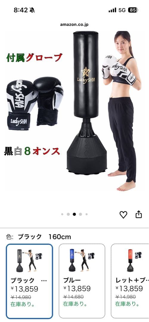 【定価1.5万円】サンドバッグ&グローブ【直渡し】