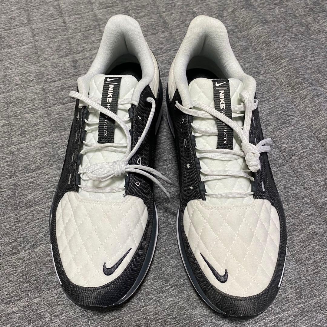 ナイキ ウィンフロー 11 ゴアテックス