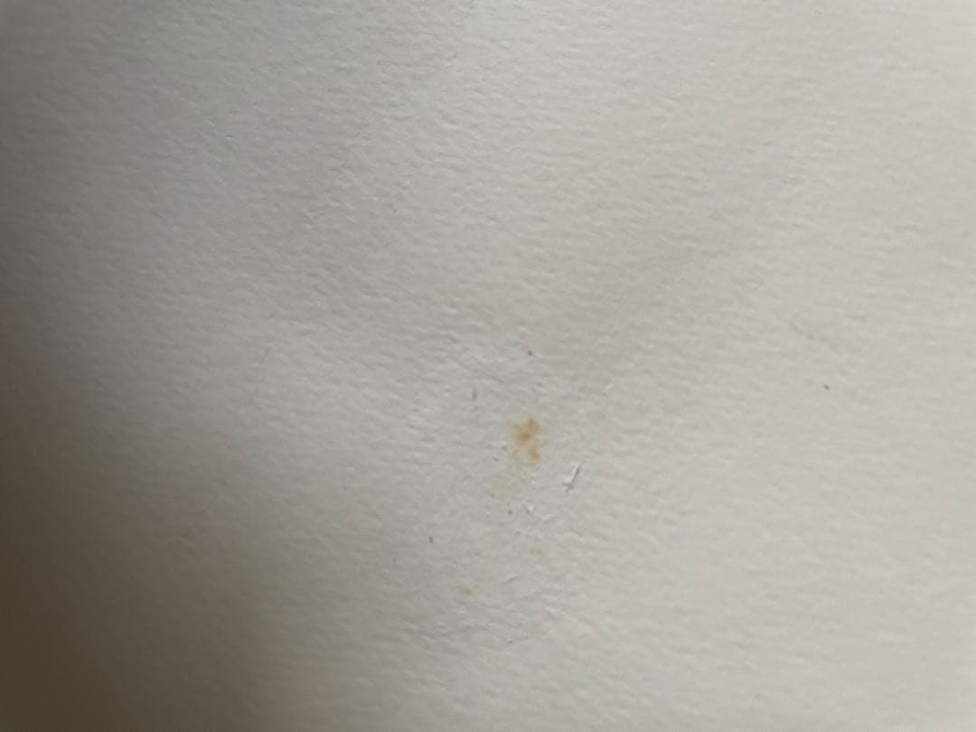 【貴重】　サルバドールダリ　ポスター　FCバルセロナ　新品額付き