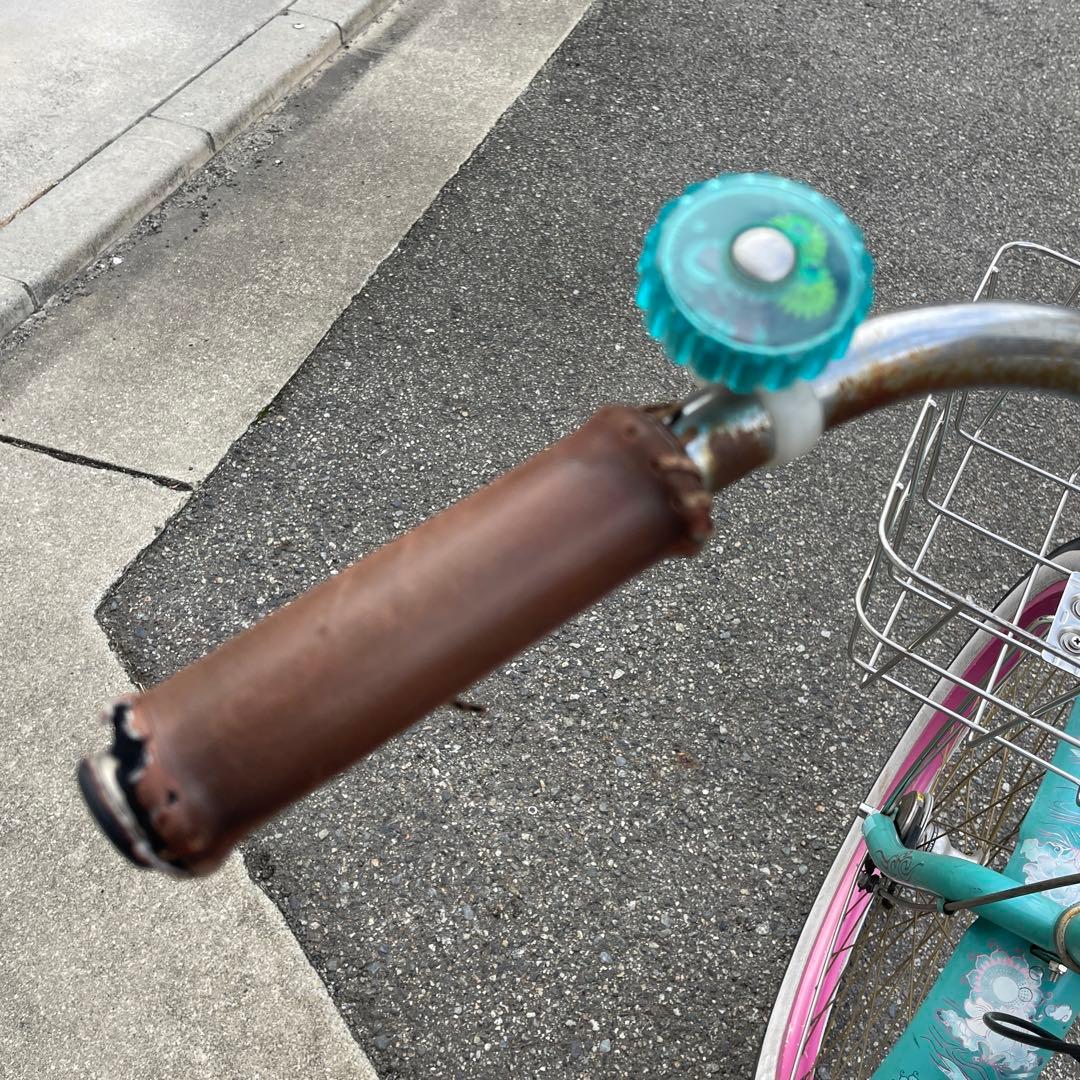 エレクトラ　ビーチクルーザー　蓮の花