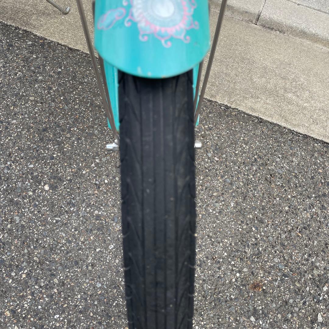 エレクトラ　ビーチクルーザー　蓮の花