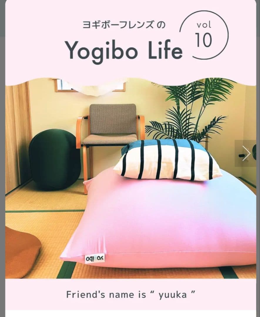 ヨギボー　ミニ　フラミンゴ　カバー　インナーカバー　まとめ売り