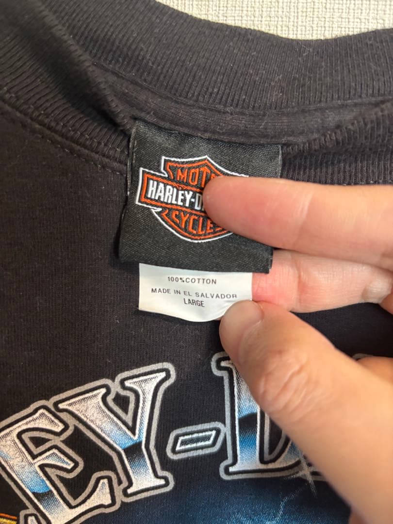 Harley-Davidson ハーレー　サンダーイーグル　L