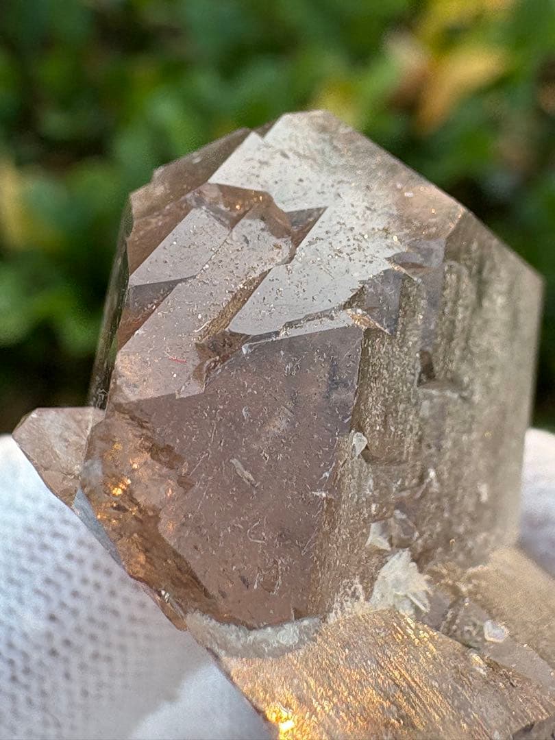 【匿名発送】パキスタン産スモーキーグインデル