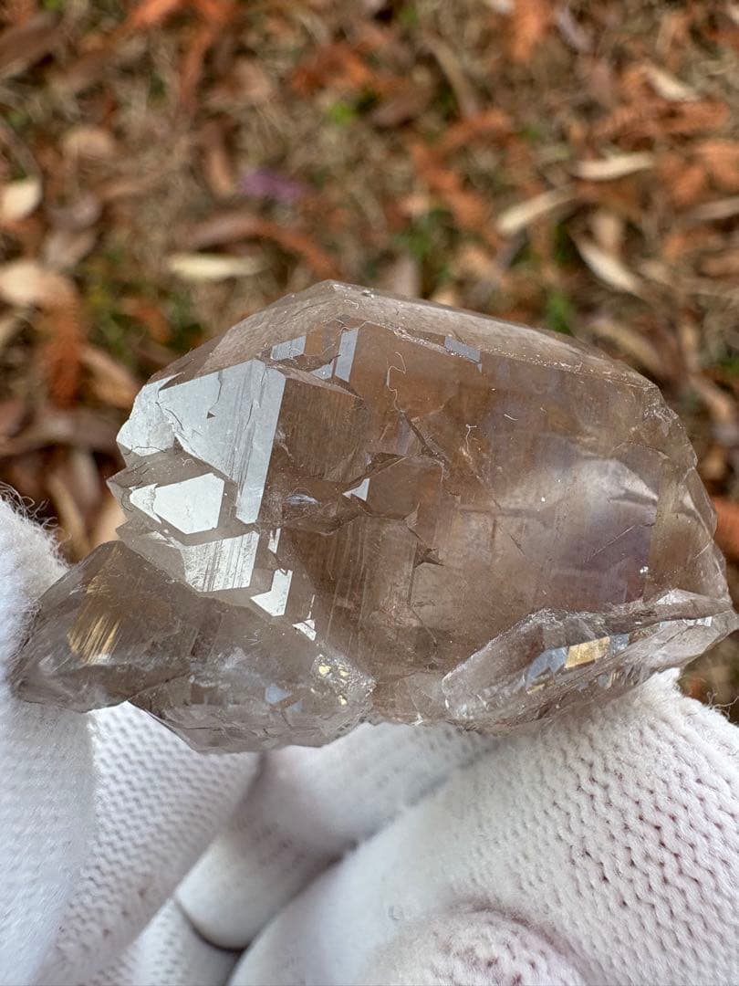 【匿名発送】パキスタン産スモーキーグインデル