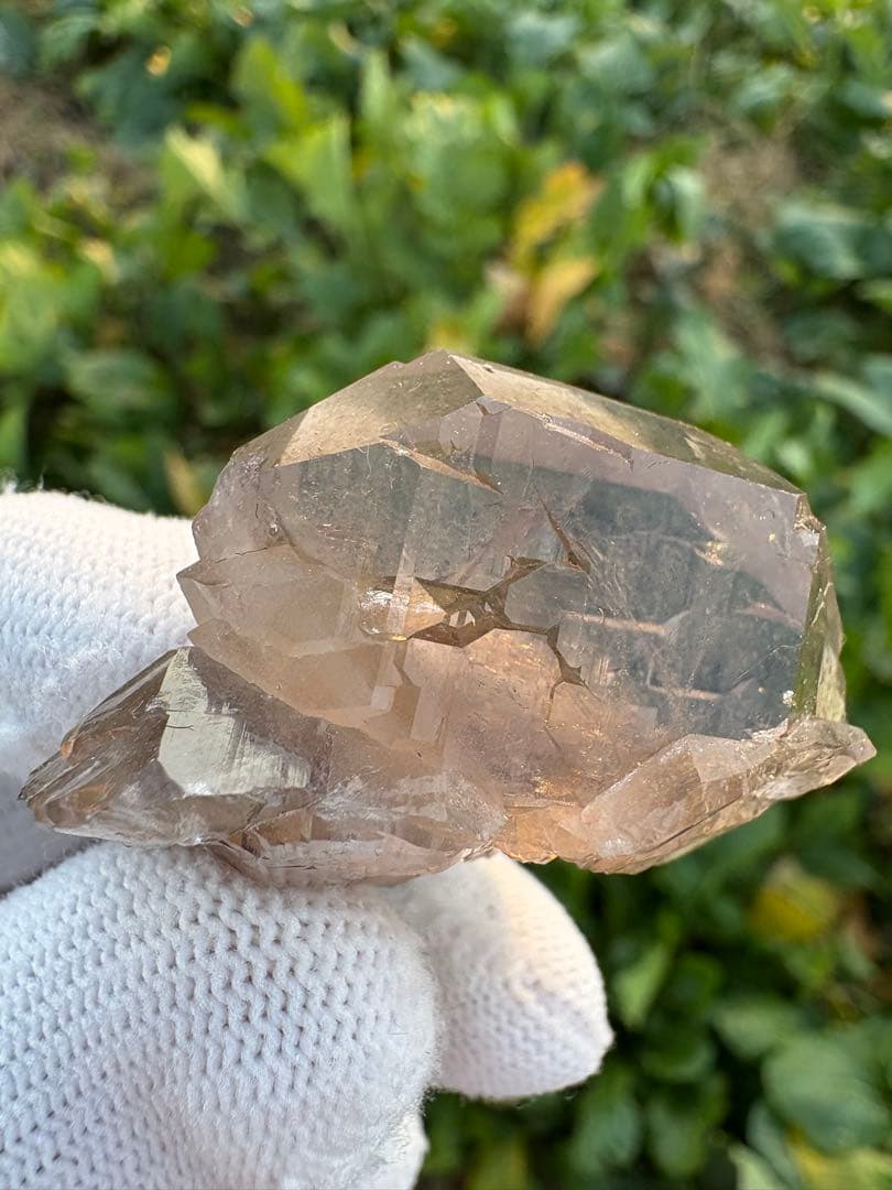 【匿名発送】パキスタン産スモーキーグインデル