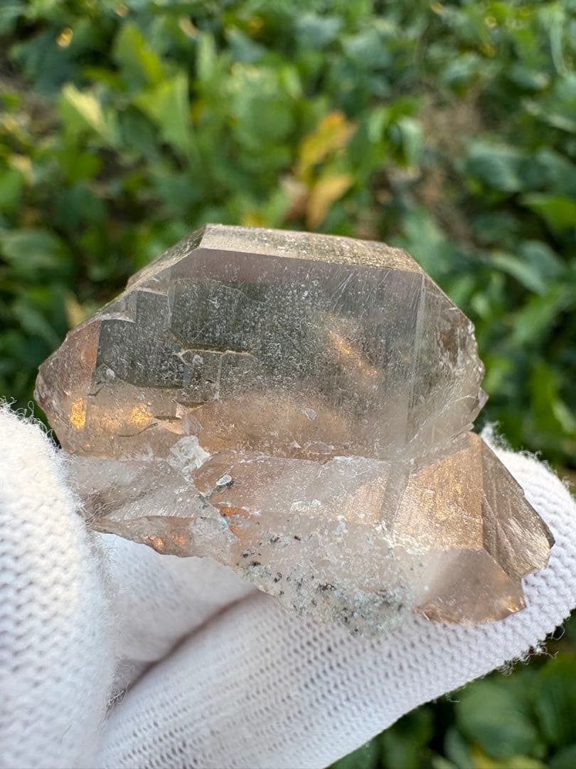 【匿名発送】パキスタン産スモーキーグインデル