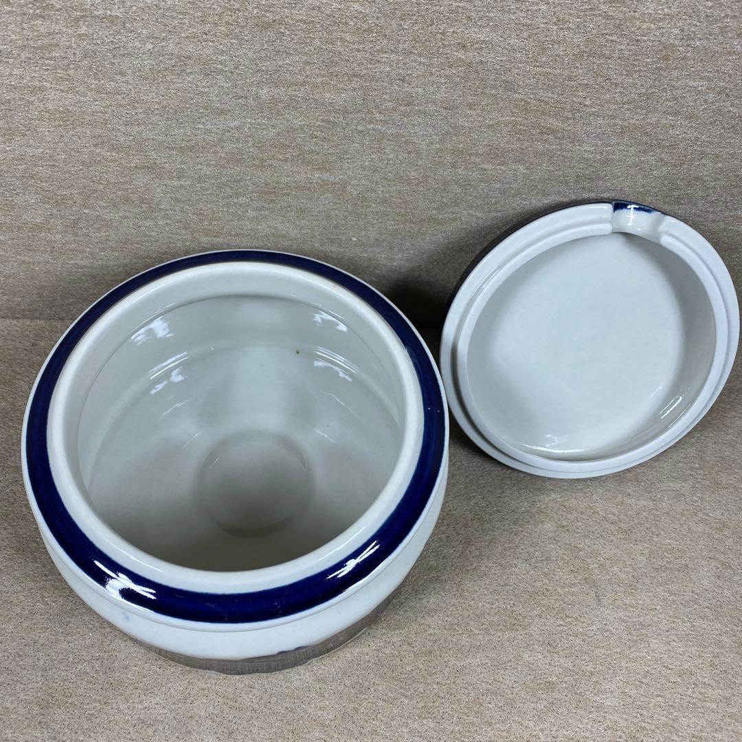 アラビアアネモネ　まとめ売り　最終値下げ　3日後出品停止となります