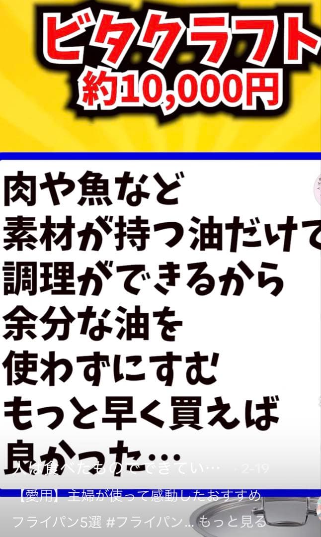 【ビタクラフト】　アップルセット　2点　10年保証
