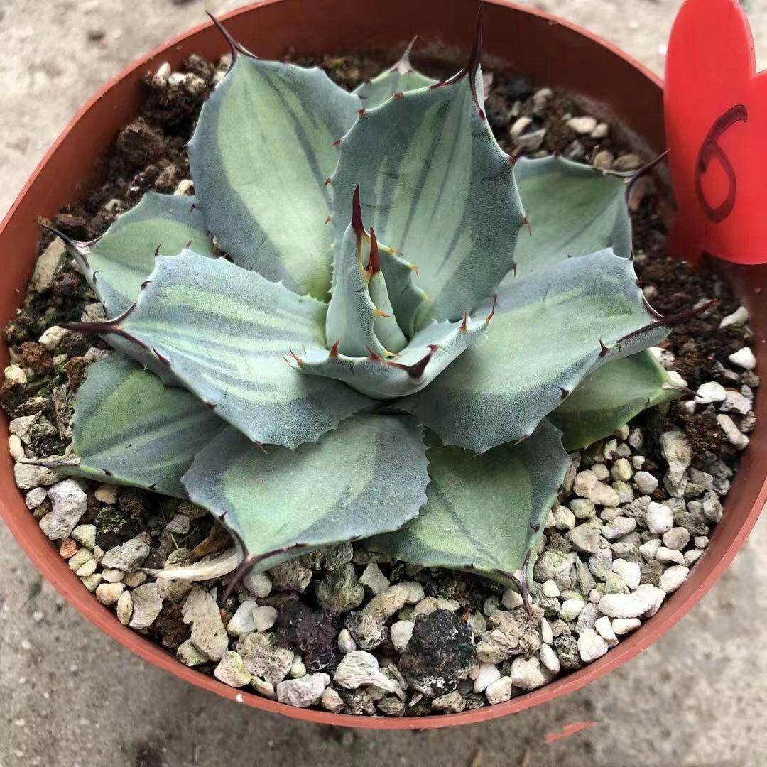 ご確認ください