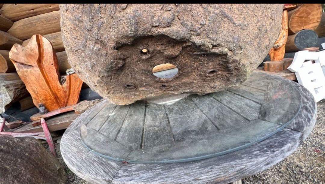 特殊な鉢　京鞍馬風手造り鉢 粋な鉢　変わり樹形に　77センチ