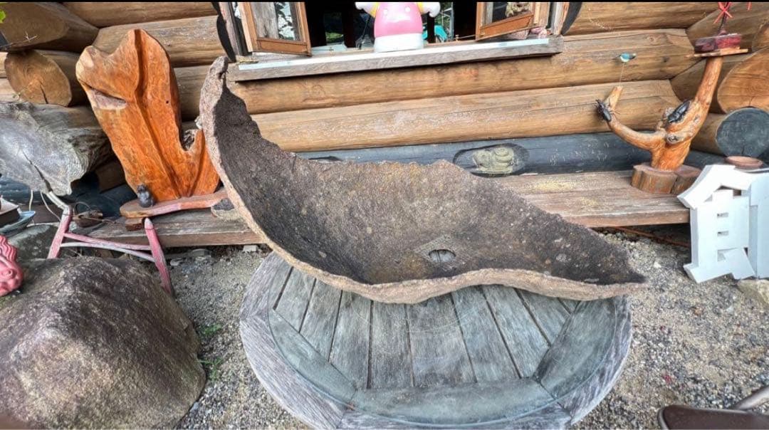 特殊な鉢　京鞍馬風手造り鉢 粋な鉢　変わり樹形に　77センチ