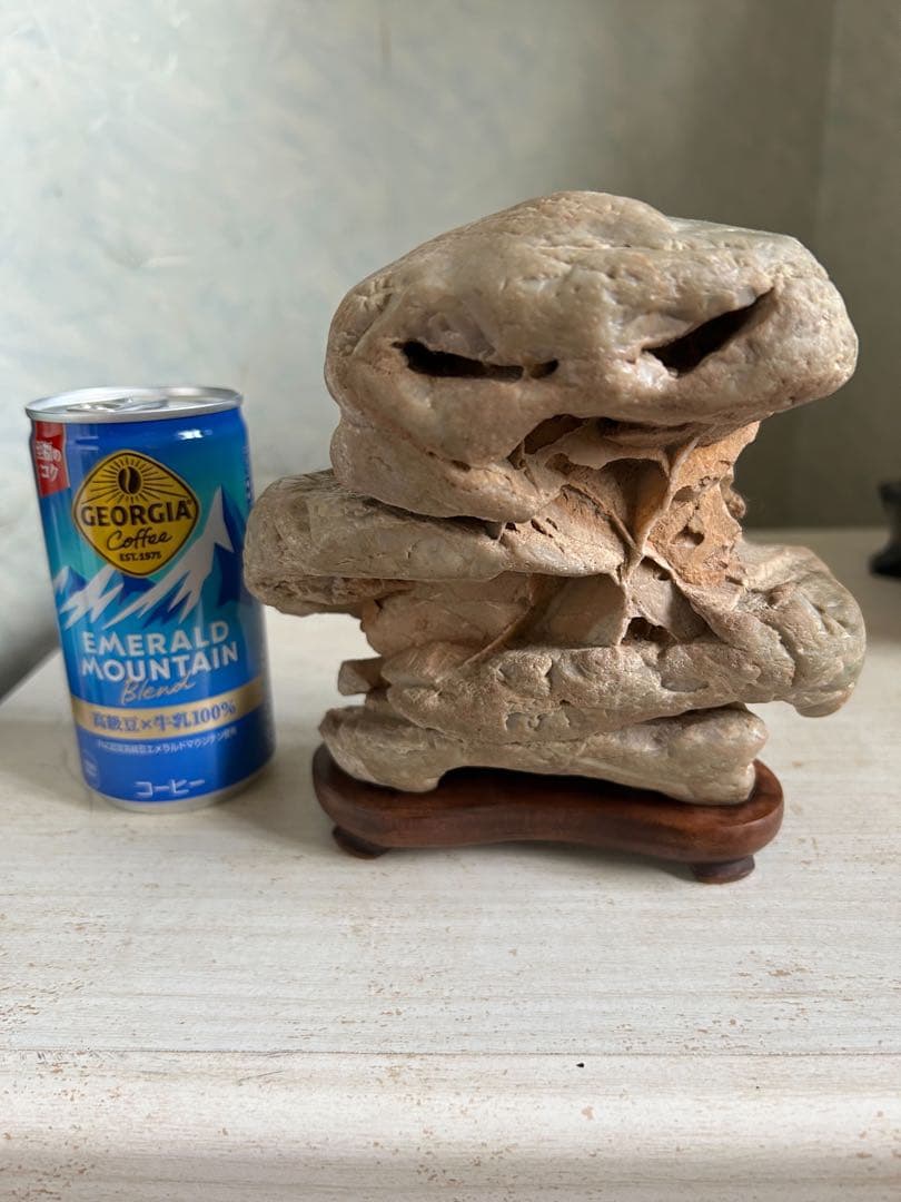 仁淀川石　姿石　鑑賞石