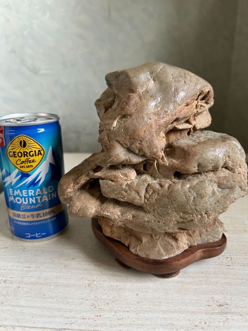 仁淀川石　姿石　鑑賞石