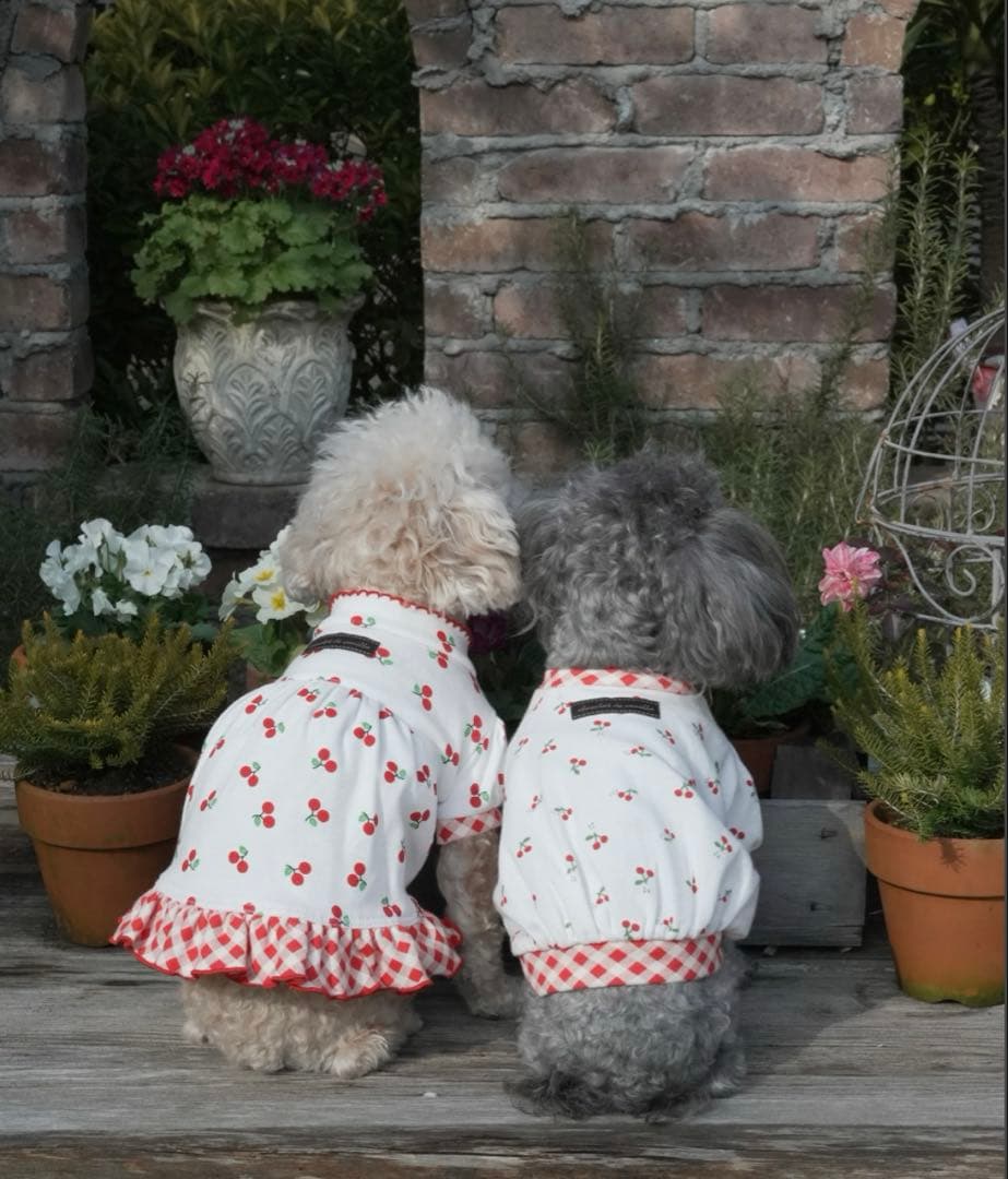 アトリエgg★チェリー柄ワンピース19ハーフ★美品ateliergg