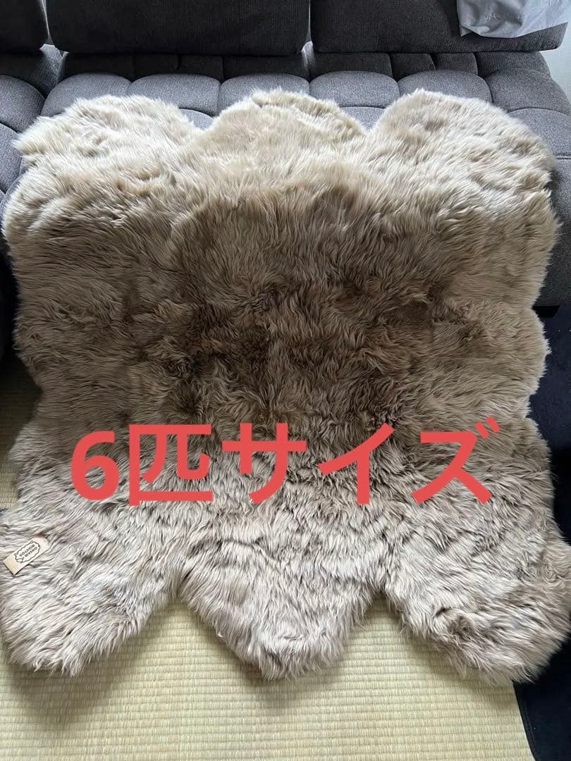 【タグ付未使用】ムートンラグ6匹 ブラウン 羊毛皮 ビッグサイズ
