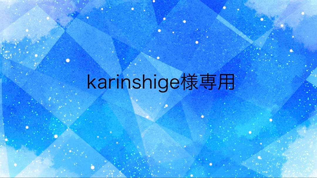 アクセサリー karinshige