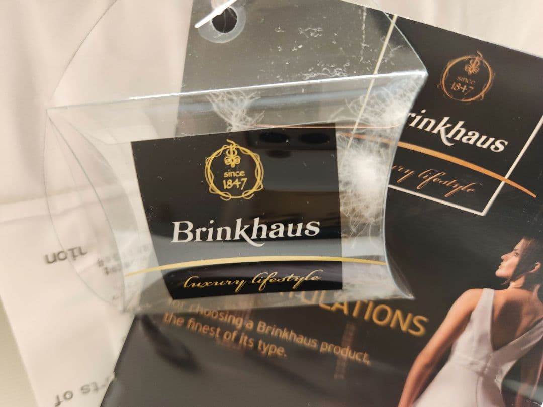 Brinkhaus ダウン/フェザー ピロー（イヴ ドローム購入） 【新品】