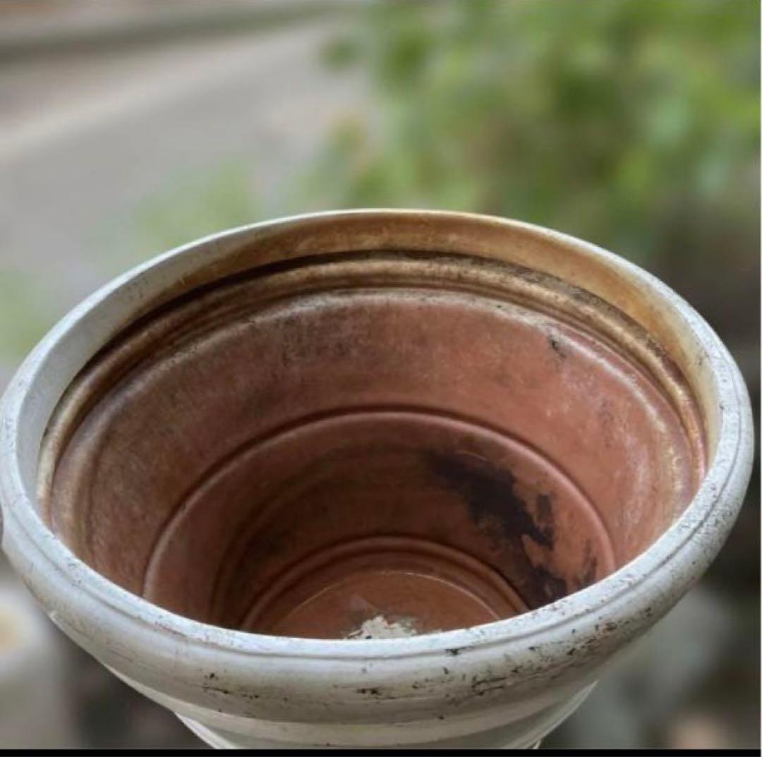 大きな植木鉢　特大